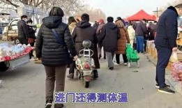 石家庄早市爆料视频曝光,真实市井生活图鉴