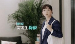 何老师家世爆料了吗视频,爆料视频背后的惊人真相