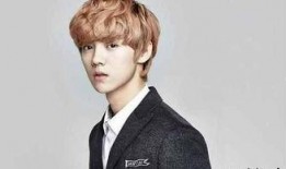 直播爆料鹿晗事件视频,揭秘背后真相与争议