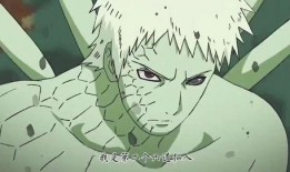 带土仙人爆料视频大全最新,最新视频大全深度解析