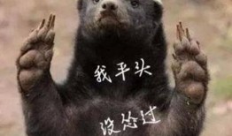 平头哥最新爆料,揭秘科技巨头背后的秘密与挑战