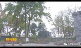 沙井租房爆料事件视频播放,揭露租房乱象背后的真相