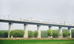 临沂高架桥爆料视频曝光,临沂高架桥爆料视频引发热议