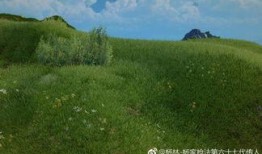 哈纳斯最新爆料,揭秘行业背后惊人内幕