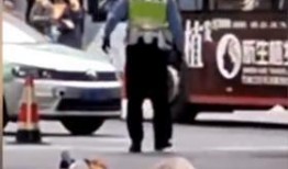 成都男外卖员爆料视频,揭秘外卖行业背后的辛酸与真相