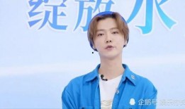 直播爆料鹿晗事件视频,揭秘背后真相与争议