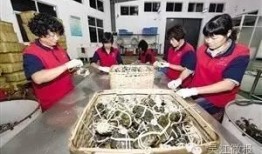 吴江市新闻爆料,最新爆料揭示事件背后真相