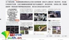 美香最新资讯爆料,揭秘娱乐圈惊人内幕