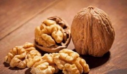 核桃印象爆料视频大全,揭秘幕后故事与精彩瞬间