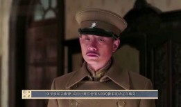 少帅电视剧在线观看48,风云激荡48年